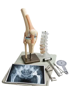Modelo anatômico de joelho e coluna ao lado de exames de imagem