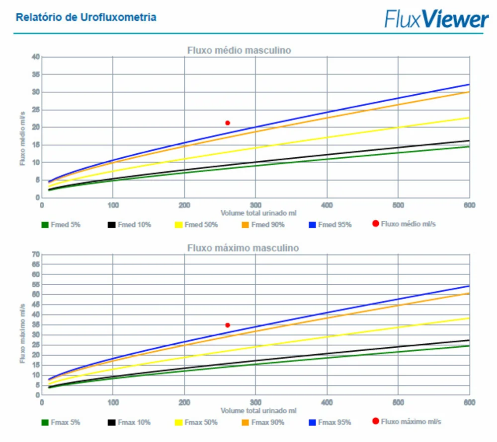 Relatório do FluxViewer com curvas de fluxo médio e máximo